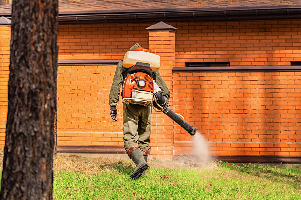 Trusted Mosquito Control service in Tunnel Hill, GA - Nex Pest Control
